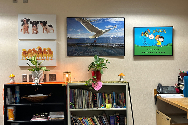 A cozy corner of the library with bookshelves, pictures and plants